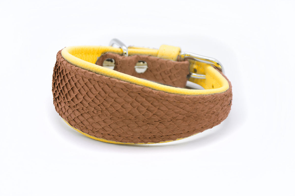 LACHSLEDER Halsband・Einzigartiges Windhundhalsband aus Fischleder