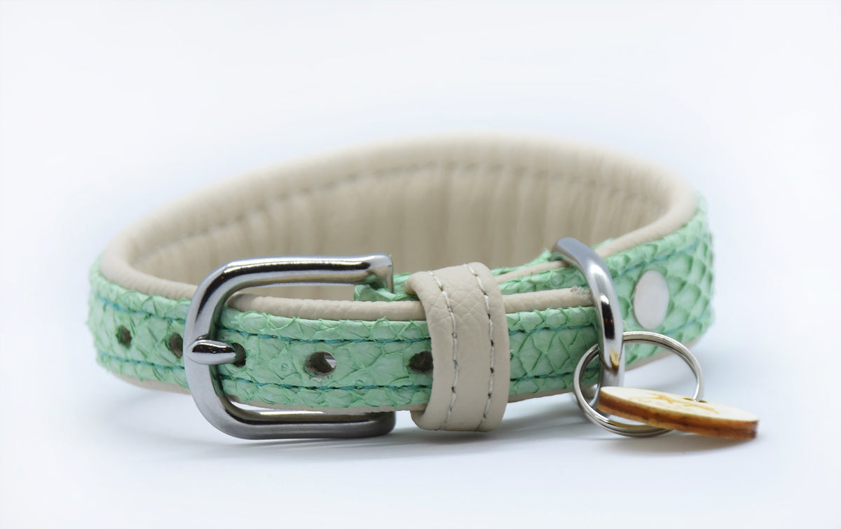 LACHSLEDER Halsband・Einzigartiges Windhundhalsband aus Fischleder