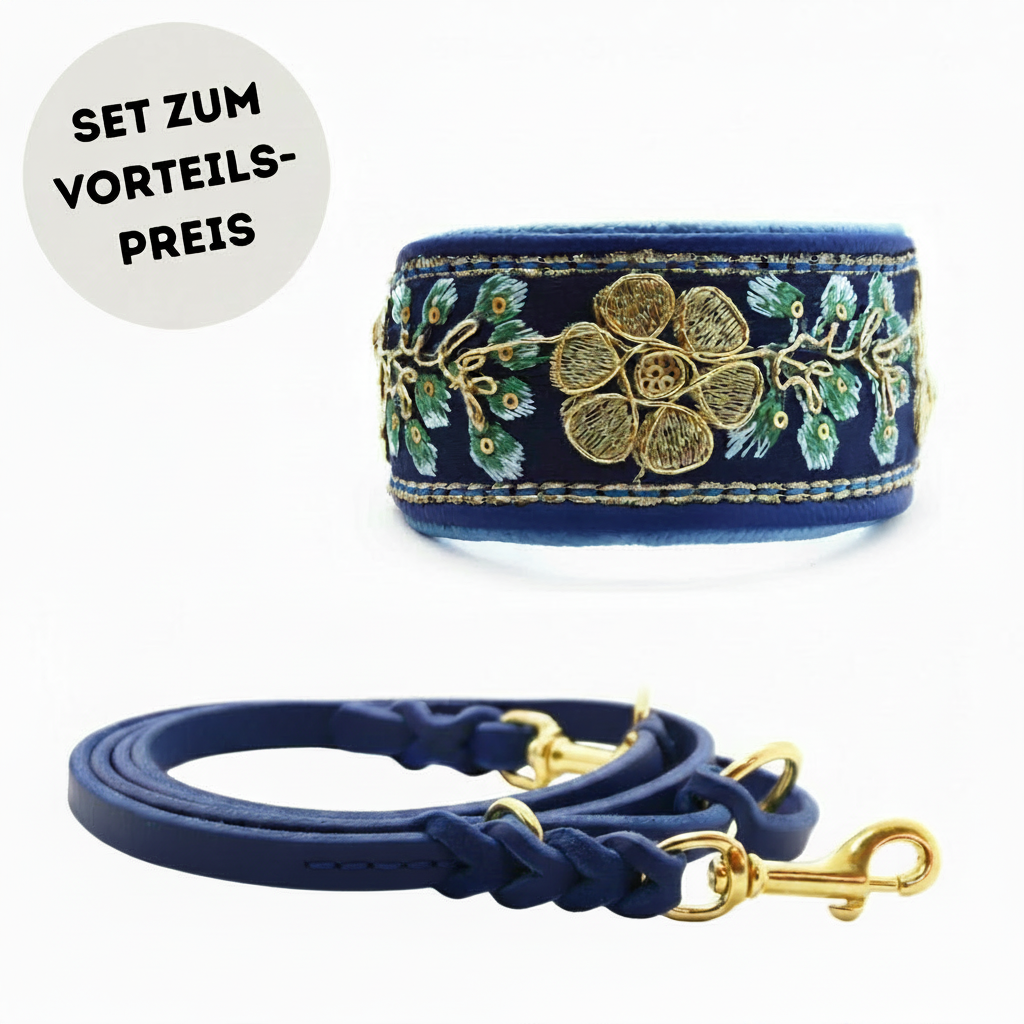 Edles Windundhalsband Set mit gepolstertem Sari Halsband und Fettlederleine
