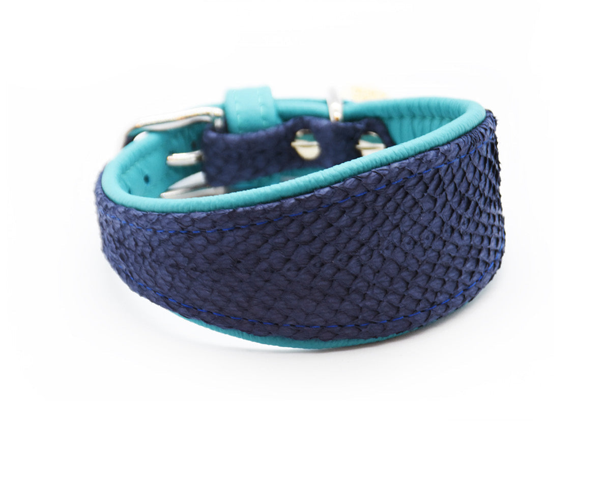 LACHSLEDER Halsband・Einzigartiges Windhundhalsband aus Fischleder