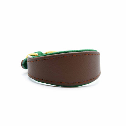 MINI BASIC | Breites Windhundhalsband für Kleinhunde/ Italienische Windspiele