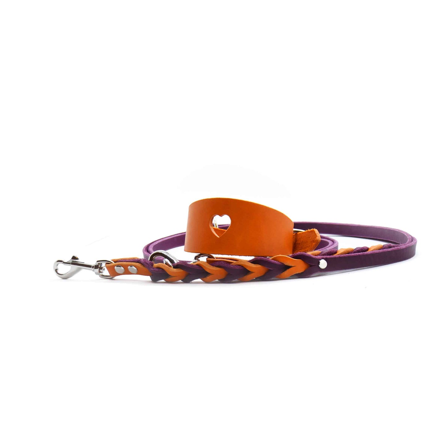 TWIN BRAID Fettlederleine | zweifarbige Hundeleine aus Fettleder