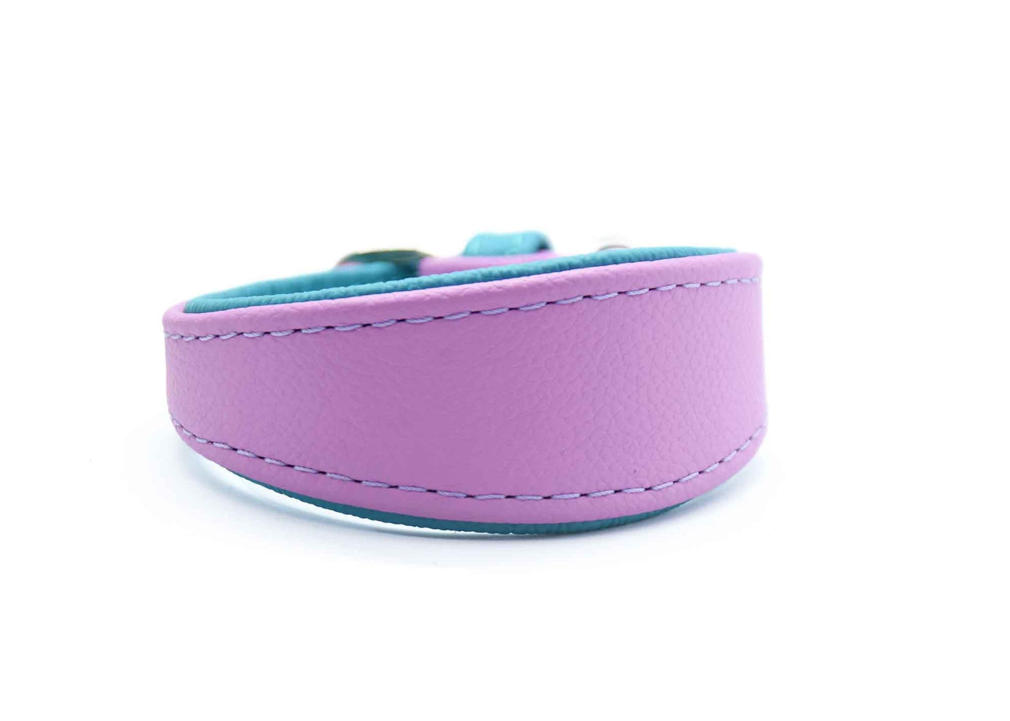 MINI BASIC | Breites Windhundhalsband für Kleinhunde/ Italienische Windspiele