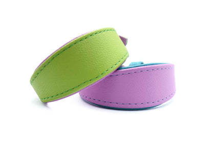 MINI BASIC | Breites Windhundhalsband für Kleinhunde/ Italienische Windspiele