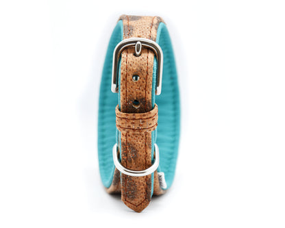 STEINBEIßER Halsband | Einzigartiges Fischleder-Halsband für Windhunde
