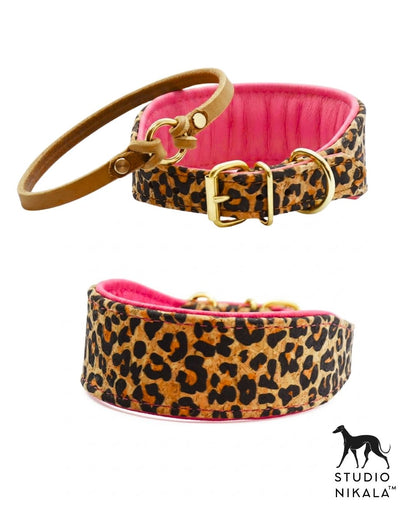 Breites Korklederhalsband mit Leomuster für Windhunde