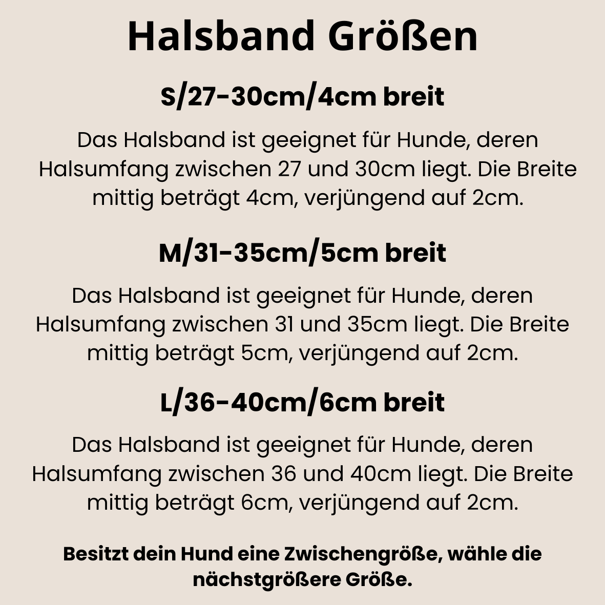 CLASSIC WIDE PADDED Windhundhalsband | breites Fettlederhalsband gepolstert
