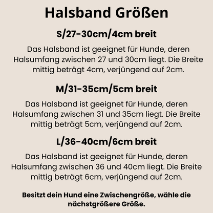CLASSIC WIDE PADDED Windhundhalsband | breites Fettlederhalsband gepolstert