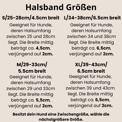 TEDDY Windhundhalsband | gepolstertes Lederhalsband mit Teddyfleece