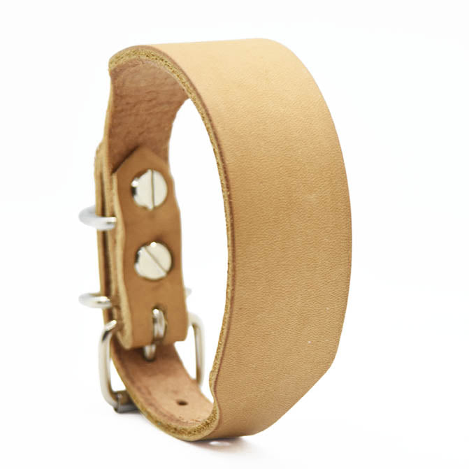 30 mm breites Fettlederhalsband für Italienische Windspiele