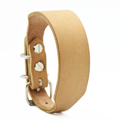 30 mm breites Fettlederhalsband für Italienische Windspiele