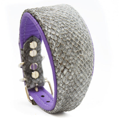 LACHSLEDER Halsband・Einzigartiges Windhundhalsband aus Fischleder