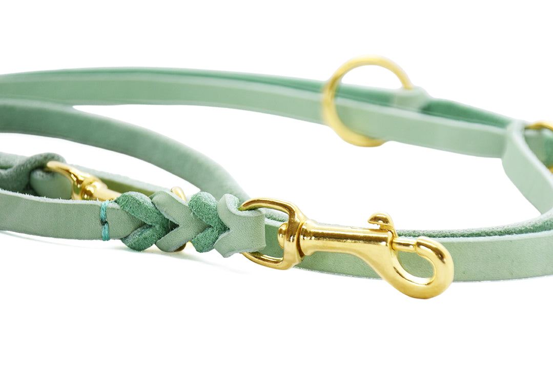 Fettlederleine in Mint, geflochten und verstellbar, für Hunde und Windhunde