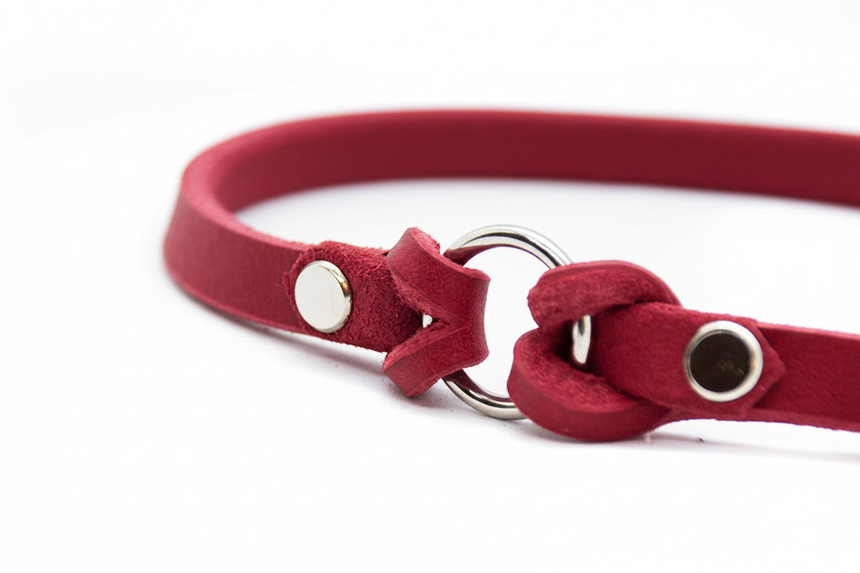 Nahaufnahme eines handgefertigten Markenhalsbands aus butterweichem Fettleder für Hunde.