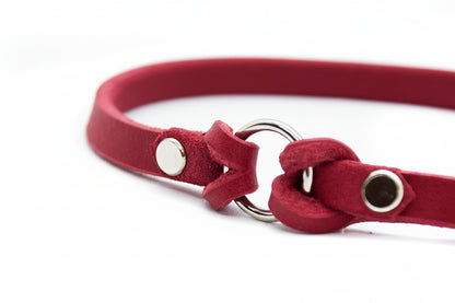 Nahaufnahme eines handgefertigten Markenhalsbands aus butterweichem Fettleder für Hunde.