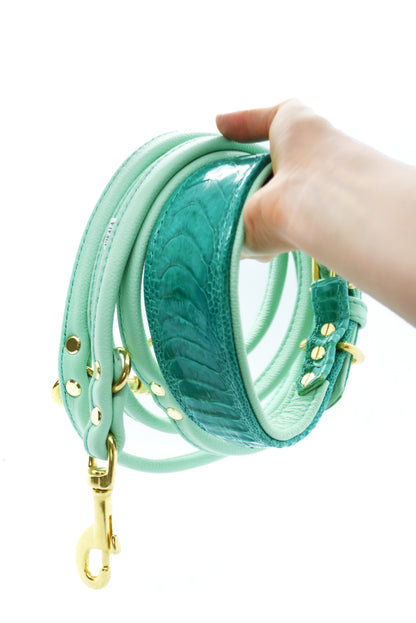 Luxuriöses Hundehalsband aus strukturiertem Straußenbeinleder in türkis mit Lederleine – Premiumqualität für stilbewusste Hundehalter:innen.