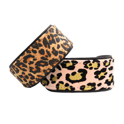 Korkleder Halsband für Windhunde mit schwarzem Nappaleder